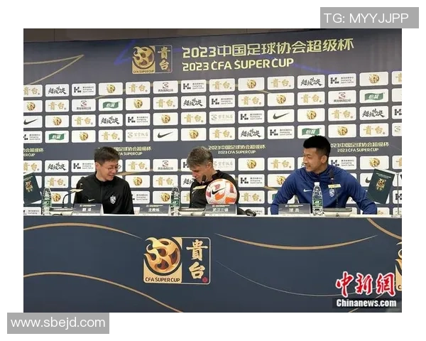 武汉足球队的奋斗历程与荣耀时刻全景纪实